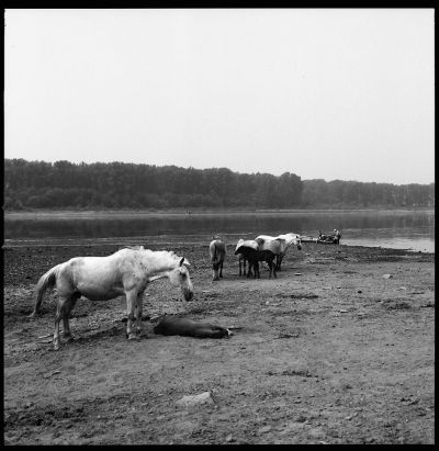 Vid stranden av Tom, på väg till Zmeinka.